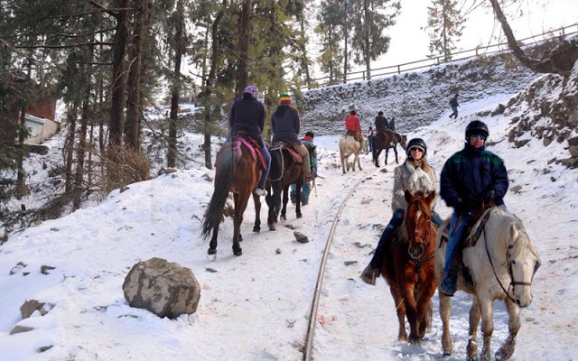 Shimla